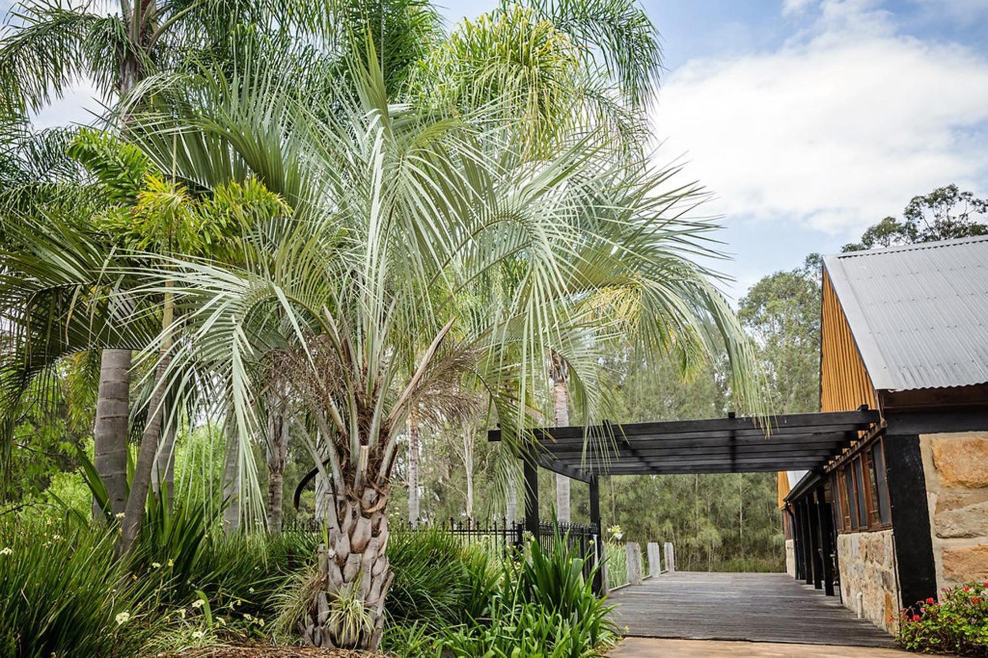 Peppers Creek Accommodation Pokolbin Bagian luar foto